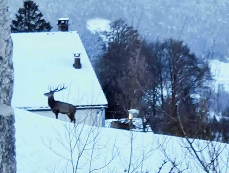La Ferme De Jean Entre Lacs Et Montagnes Saulxures-sur-Moselotte Exterior foto
