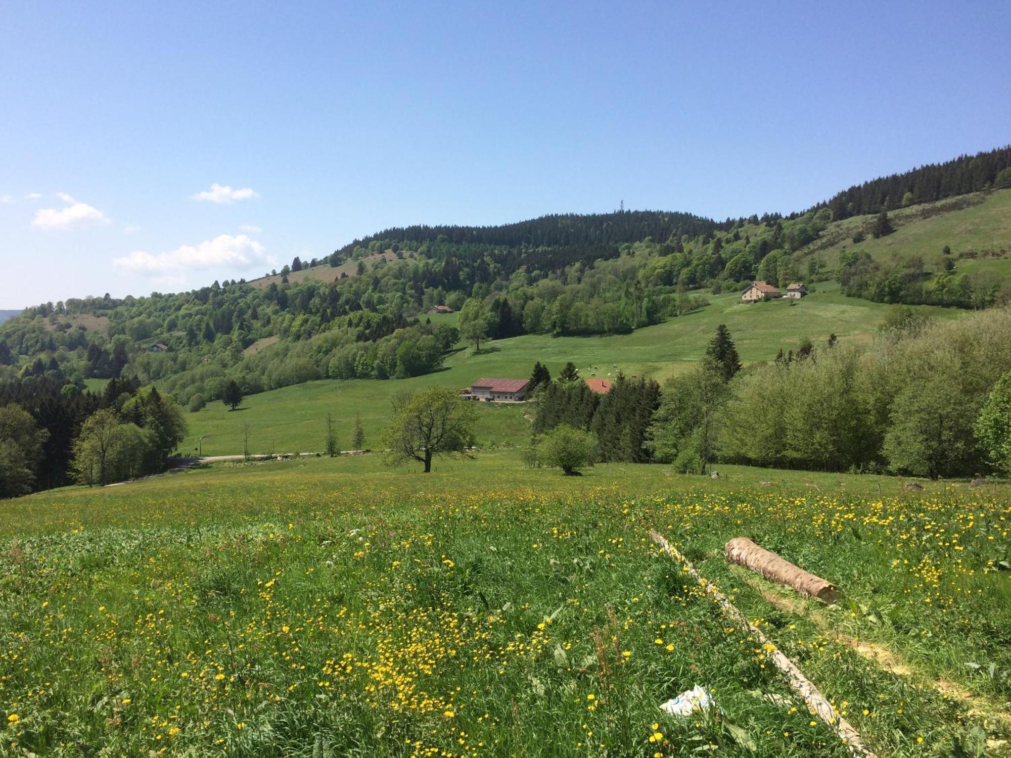 La Ferme De Jean Entre Lacs Et Montagnes Saulxures-sur-Moselotte Exterior foto